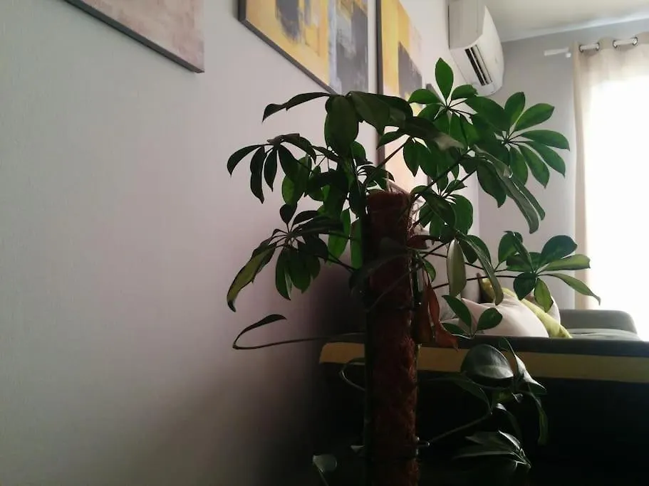 Exclusive Apartment Tirana